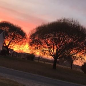 Meet your Posher, Paige